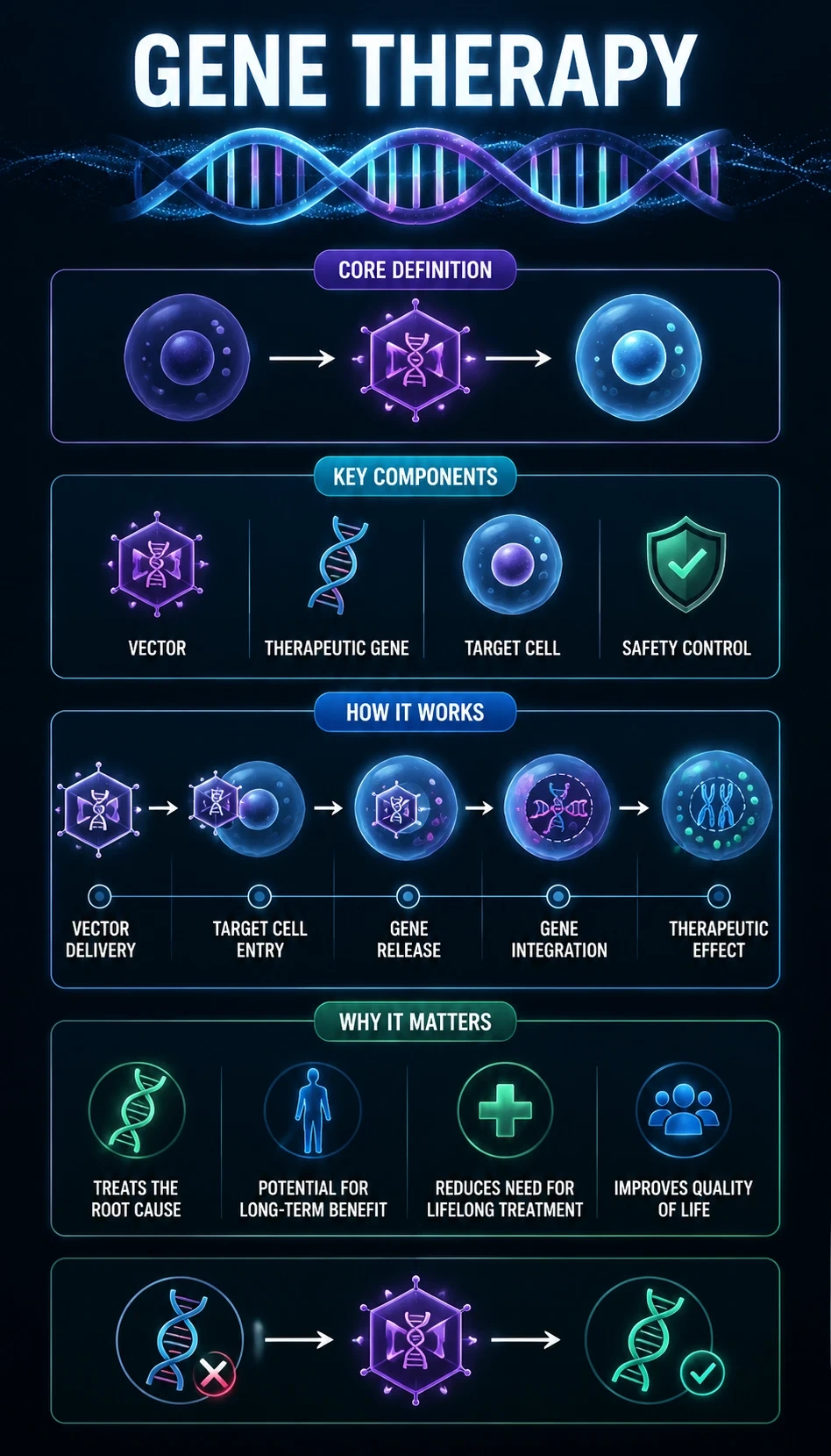 gene therapy infographic showing core definition, key components, how it works, why it matters