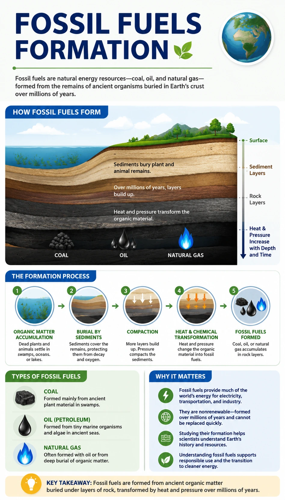 Fossil Fuels Formation infographic